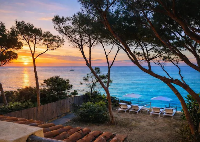 Alex On The With Sea View