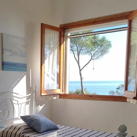 Alex On The With Sea View * Fox E Sali-monte Agumu