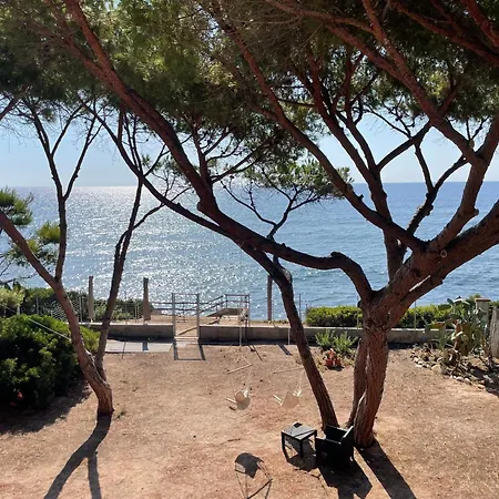 Alex On The With Sea View Holiday home Fox E Sali-monte Agumu