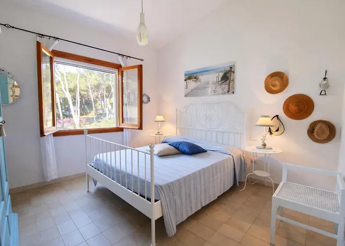 Alex On The With Sea View Fox E Sali-monte Agumu