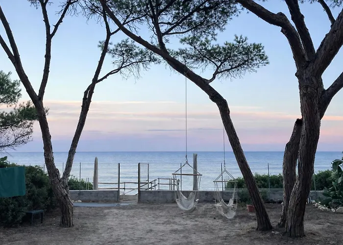 Alex On The With Sea View